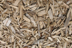 biomass boilers Foindle